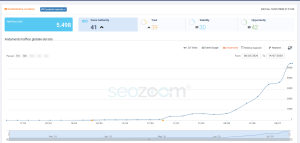 posizionamento seo google