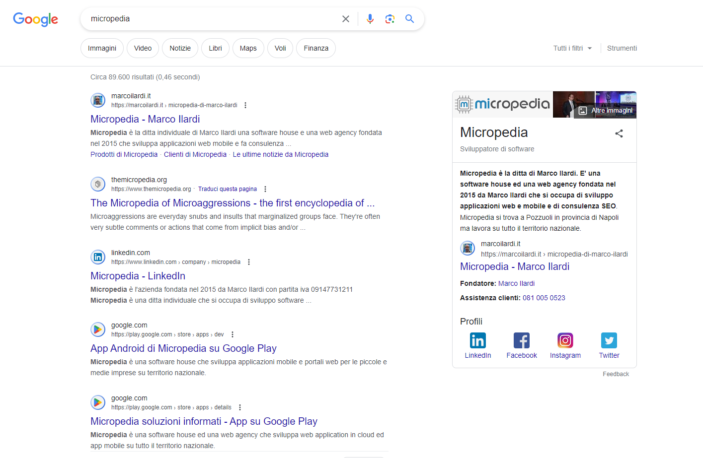 micropedia knowledge panel branding seo