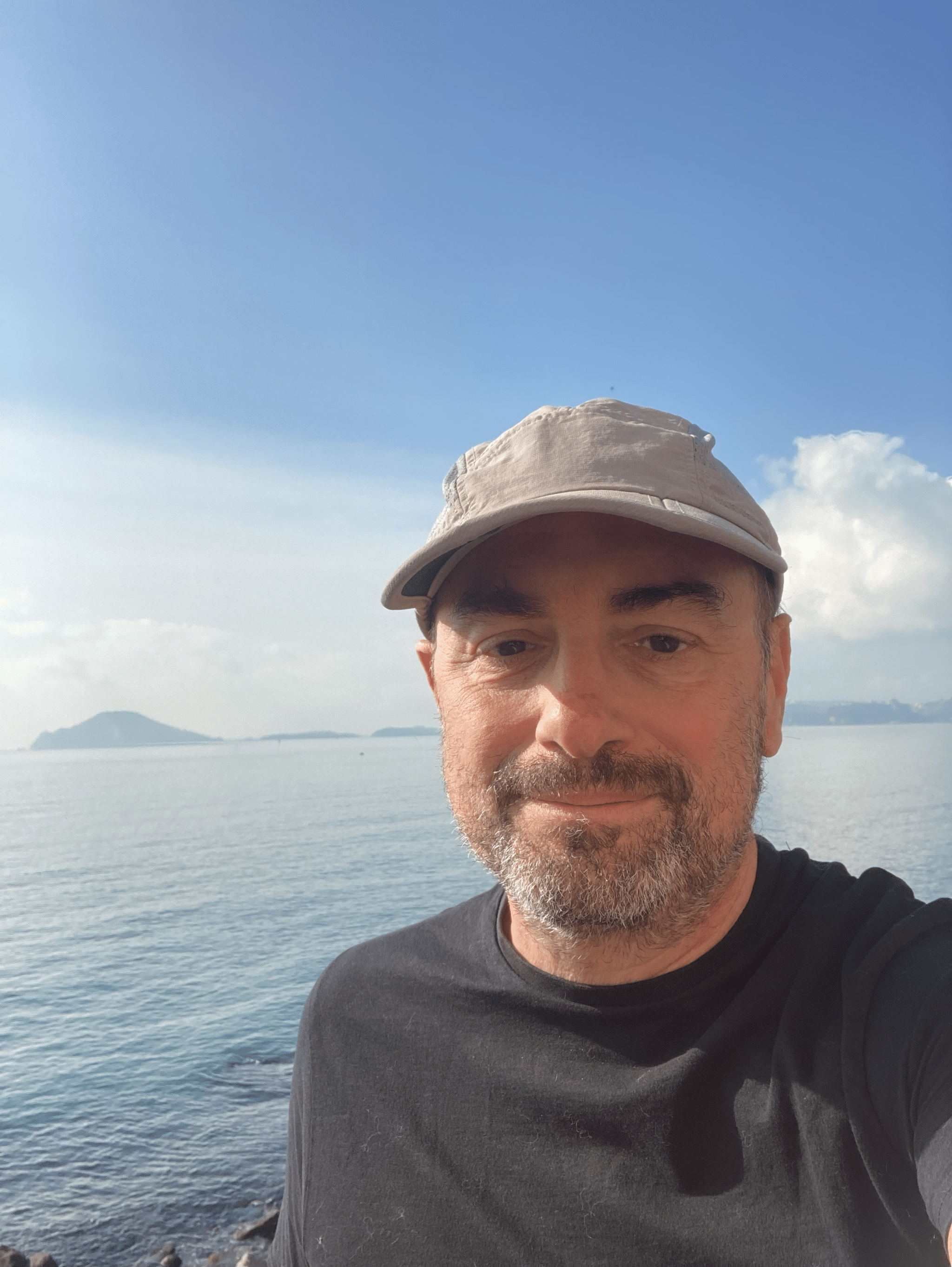 marco ilardi micropedia